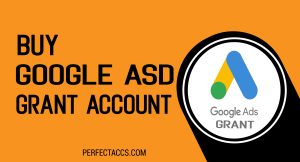 Buy Google Ads Grant Accounts