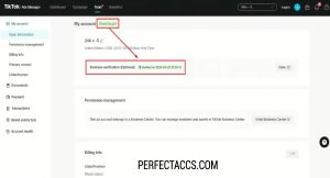Rent TikTok Ads Agency Accounts