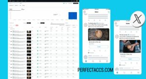 Rent Twitter Ads Agency Accounts
